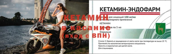 спиды Верея