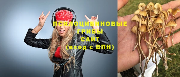 спиды Верея