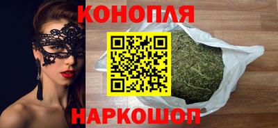 шишки Лесосибирск