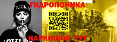 шишки Лесосибирск