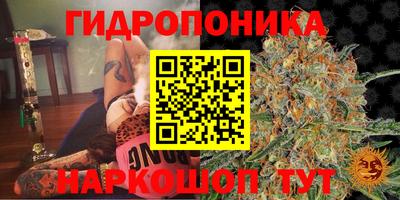 эйфоретик Ливны