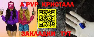 шишки Лесосибирск