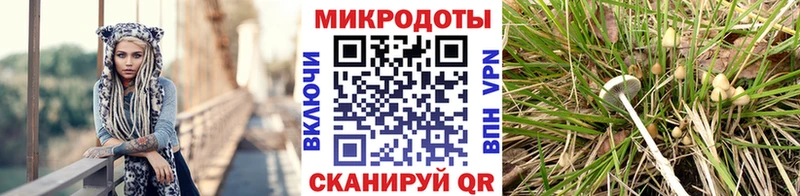 Галлюциногенные грибы GOLDEN TEACHER  наркотики  Димитровград 