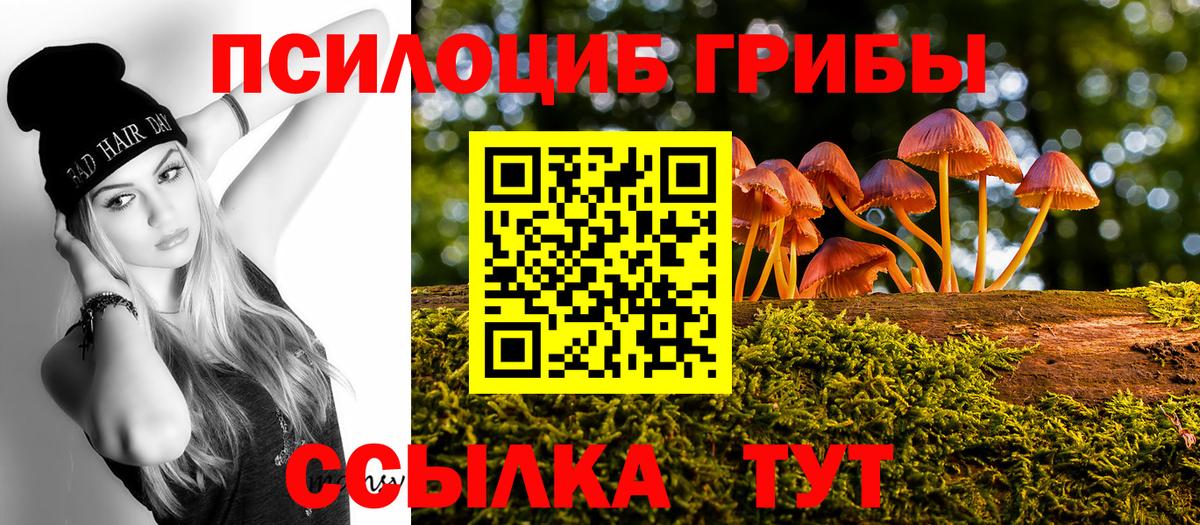 Псилоцибиновые грибы мухоморы Димитровград
