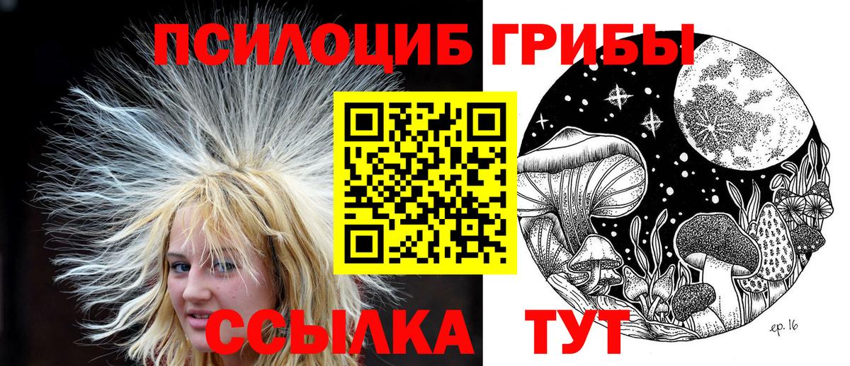 наркотики  Псилоцибиновые грибы Magic Shrooms  Вход с VPN  Димитровград 