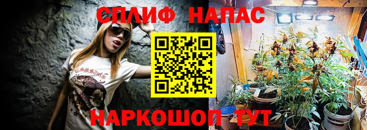 Марихуана Amnesia Димитровград